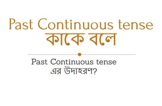 Past Continuous Tense কাকে বলে Past Continuous Tense এর উদাহরণ