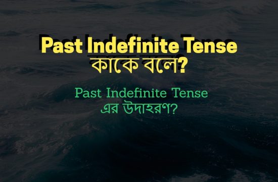 Past Indefinite Tense কাকে বলে Past Indefinite Tense এর উদাহরণ