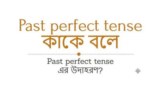 Past perfect tense কাকে বলে Past perfect tense এর উদাহরণ