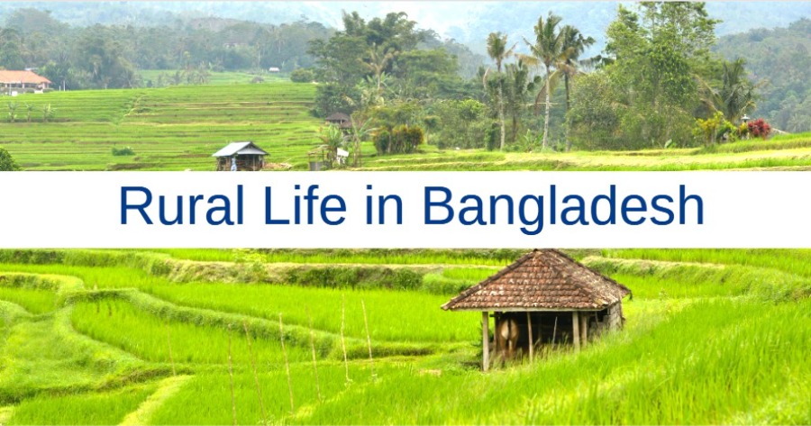 Rural Life in Bangladesh Paragraph