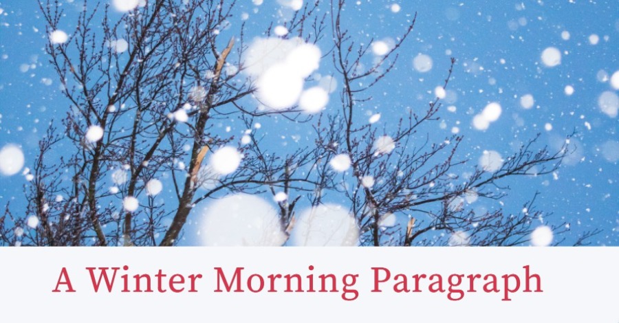 A Winter Morning Paragraph