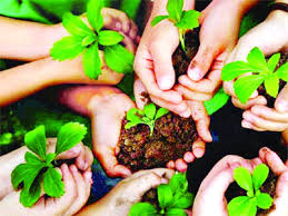 tree plantation is a way of take care of yourself.