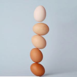 Eggs for children height