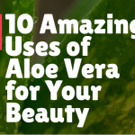 10 Amazing Uses of Aloe Vera for Your Beauty