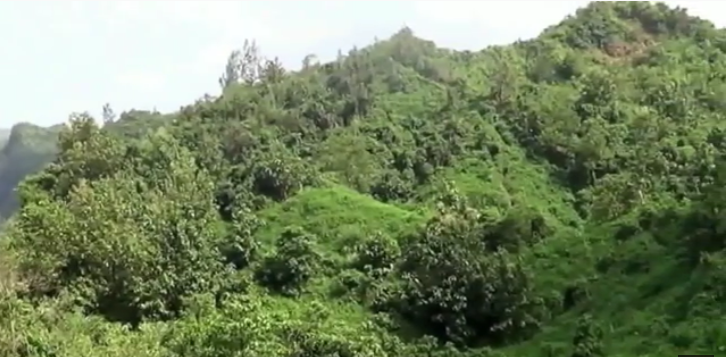 The hills of Himchari