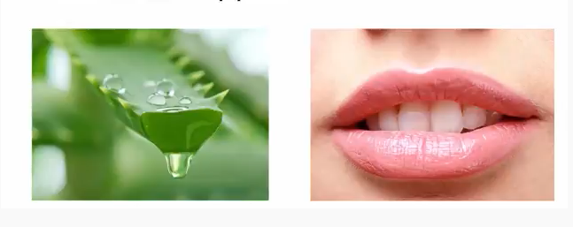 use aloe vera for bright lips