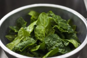 spinach for children height