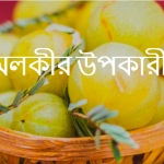 আমলকী খাওয়ার উপকারীতা | আমলকীর ১০টি উপকারিতা