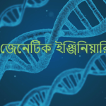 জেনেটিক ইঞ্জিনিয়ারিং কি? কিভাবে মানুষকে সহায়তা ‍দিচ্ছে?