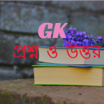 বাংলাদেশের বৃহত্তম মসজিদ কোনটি?