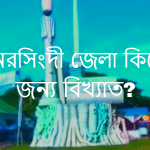 নরসিংদী জেলা কিসের জন্য বিখ্যাত?