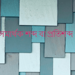 আঙ্গুল এর সমার্থক শব্দ কি?