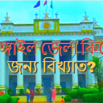 টাঙ্গাইল জেলা কিসের জন্য বিখ্যাত?