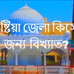 কুষ্টিয়া জেলা কিসের জন্য বিখ্যাত?