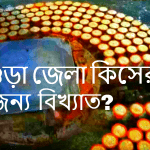 বগুড়া জেলা কিসের জন্য বিখ্যাত?