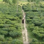বাংলাদেশের শীতলতম স্থান কোনটি