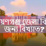 নারায়ণগঞ্জ জেলা কিসের জন্য বিখ্যাত?