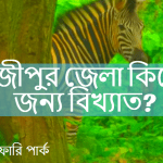 গাজীপুর জেলা কিসের জন্য বিখ্যাত?