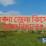পাবনা জেলা কিসের জন্য বিখ্যাত?