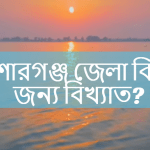 কিশোরগঞ্জ জেলা কিসের জন্য বিখ্যাত?