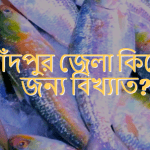 চাঁদপুর জেলা কিসের জন্য বিখ্যাত?