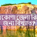 নেত্রকোণা জেলা কিসের জন্য বিখ্যাত?