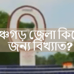 পঞ্চগড় জেলা কিসের জন্য বিখ্যাত?