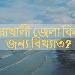 পটুয়াখালী জেলা কিসের জন্য বিখ্যাত?
