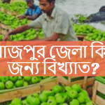 পিরোজপুর জেলা কিসের জন্য বিখ্যাত?