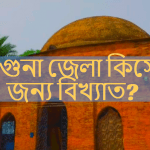 বরগুনা জেলা কিসের জন্য বিখ্যাত?