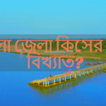 ভোলা জেলা কিসের জন্য বিখ্যাত?