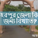 মেহেরপুর জেলা কিসের জন্য বিখ্যাত?