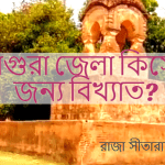 মাগুরা জেলা কিসের জন্য বিখ্যাত?