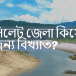 সিলেট জেলা কিসের জন্য বিখ্যাত?