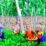 হবিগঞ্জ জেলা কিসের জন্য বিখ্যাত?