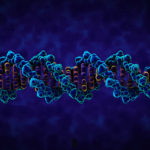 DNA কি/ ডিএনএ কাকে বলে?