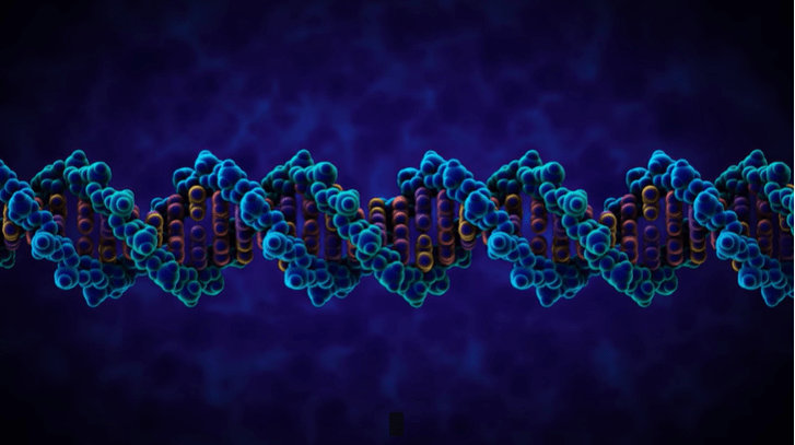 DNA কি/ ডিএনএ কাকে বলে?
