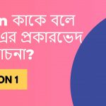 Noun কাকে বলে? Noun কত প্রকার ও কি কি? Noun এর উদাহরণ?