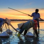 লবন কাকে বলে? লবনের উপকারিতা?