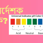 নির্দেশক কি বা নির্দেশক কাকে বলে?