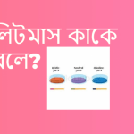 লিটমাস কি বা লিটমাস কাকে বলে?