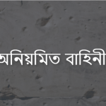 অনিয়মিত বাহিনী কি/অনিয়মিত বাহিনী কাকে বলে?