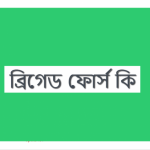 ব্রিগেড ফোর্স কি/ ব্রিগেড ফোর্স কাকে বলে?
