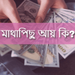 মাথাপিছু আয় কি/ মাথাপিছু আয় কাকে বলে? মাথাপিছু আয়ের সূত্র?