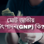 মোট জাতীয় উৎপাদন(GNP) কি?মোট জাতীয় উৎপাদন কাকে বলে?