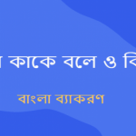 ফলা কাকে বলে? ফলা কয়টি ও কি কি?