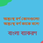 অন্তঃস্থ বর্ণ কোনগুলো? অন্তঃস্থ বর্ণ কাকে বলে?