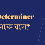 Determiner কাকে বলে? Determiner কত প্রকার ও কি কি?
