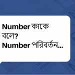 Number কাকে বলে? Number কত প্রকার ও কি কি?