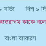 অন্ত্যস্বরাগম কাকে বলে? অন্ত্য স্বরাগম এর উদাহরণ?